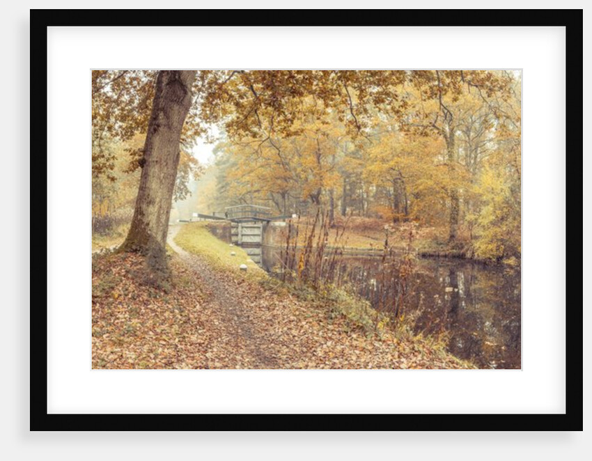 Canal through forest by Assaf Frank